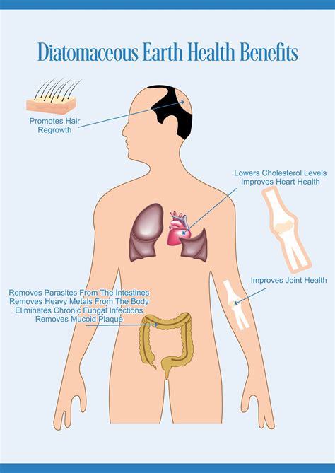 Normalcolon Diatomaceous Earth Health Benefits Normalcolon