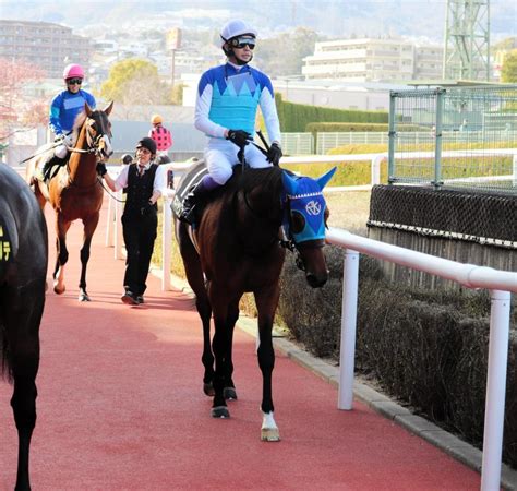 【若葉s】5億8000万円のアドマイヤビルゴがv 武豊を背にデビュー2連勝競馬・レースデイリースポーツ Online