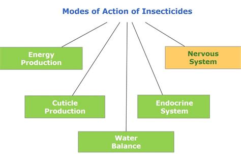 The Labcoat Guide To Pesticide Mode Of Action Insecticides Part I