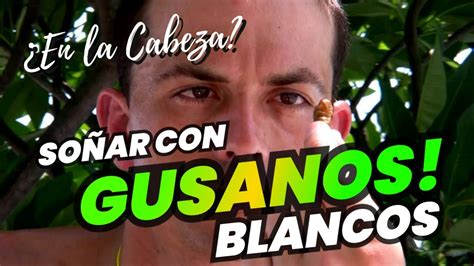 Descubre El Significado De So Ar Con Gusanos Blancos En La Cabeza