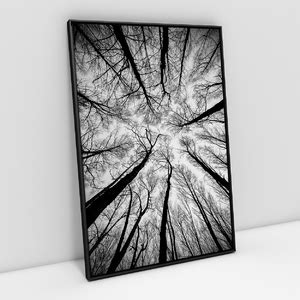 Quadro Decorativo Paisagem Galhos Secos Preto E Branco Moderno Para