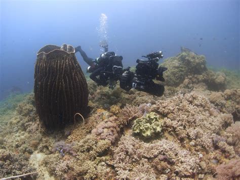 Philippine Biodiversity Expedition And The Coral Triangle