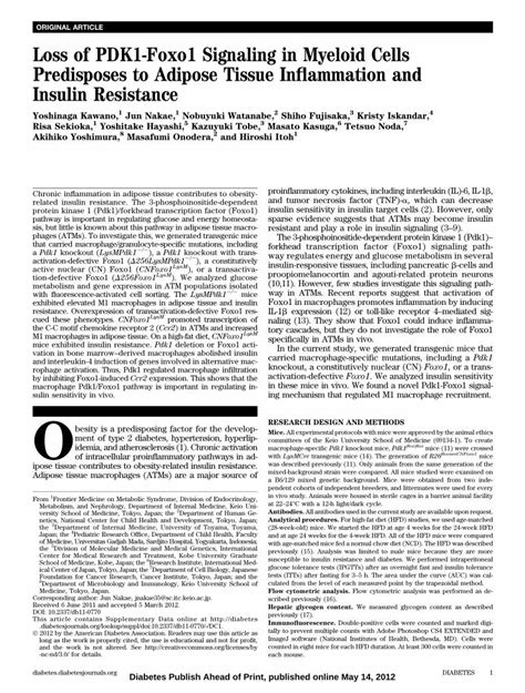 Pdf Loss Of Pdk Foxo Signaling In Myeloid Cells Predisposes To