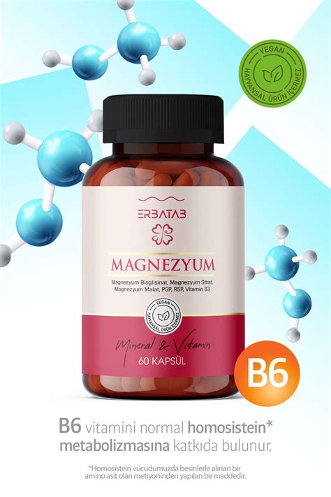 Magnezyum 3 Lü Form Bisglisinat Sitrat Malat Vitamin B3 60