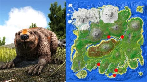 Best Beaver Dam Locations In Ark Survival Ascended The Nerd Stash