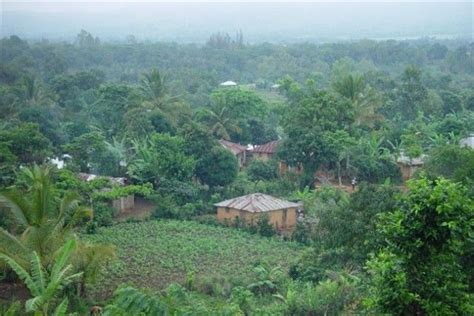 HAITI Cinque anni dopo il terremoto Comunicaffè