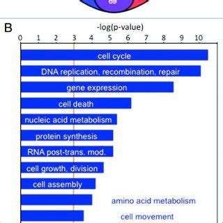 The Myc Protein Interaction Network In Escs A Diagrammatic