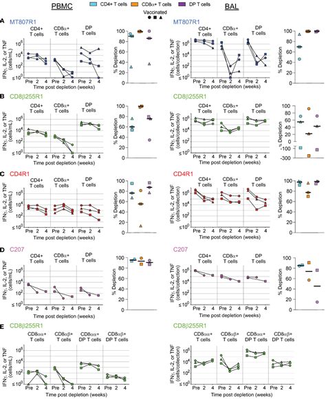 Frontiers Antibody Mediated Depletion Of Select Leukocyte Subsets In