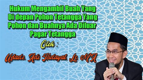 Hukum Mengambil Buah Yang Di Depan Pohon Tetangga Yang Pohon Dan