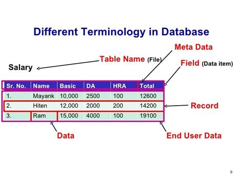 Lecture 01 Introduction To Database