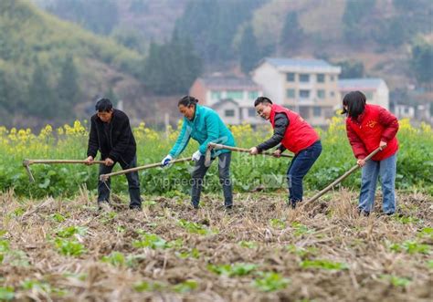 贵州岑巩：党员志愿者活跃春耕备耕现场 人民图片网