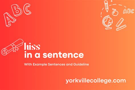 How To Use Hiss In A Sentence Easy Examples