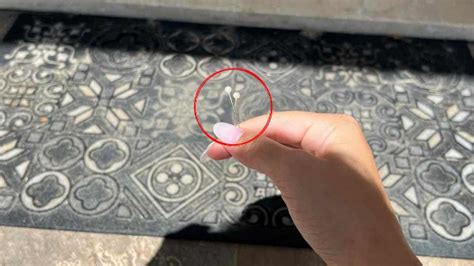 Pourquoi devriez vous placer 2 épingles sous le tapis avant de partir