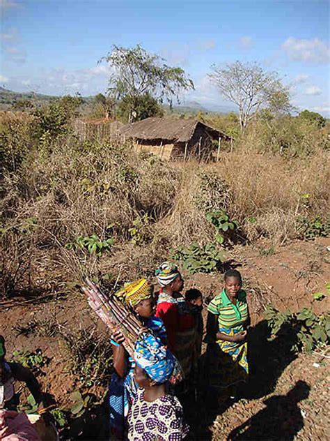 En Attendant Le Train Province De Nampula Mozambique Routard