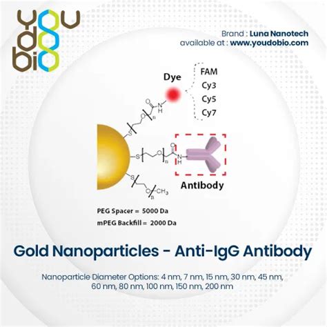 Gold Nanoparticles Streptavidin You Do Bio