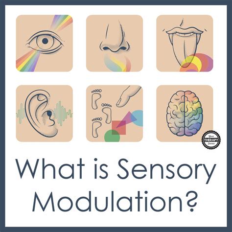 Sensory Motor Arousal Regulation Therapy At Bill Deacon Blog