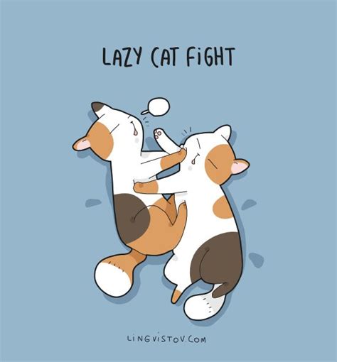 "Lazy cat fight" - Lingvistov | Gattini, Gatti, Funny