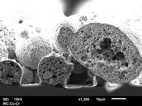 Scanning Electron Microscopes SEM JEOL Germany GmbH And Nordic AB