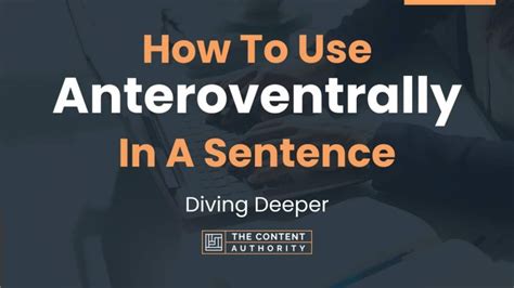 How To Use Anteroventrally In A Sentence Diving Deeper