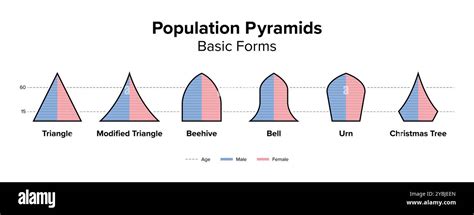 Basic Forms Of Population Pyramids Age Structure Diagram And Graphical