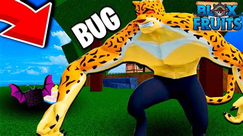 O NOVO BUG para PEGAR a FRUTA do LEOPARDO MUITO FÁCIL BLOX FRUITS