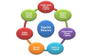 Conversion of Debentures into Equity Shares: Step by Step Guide