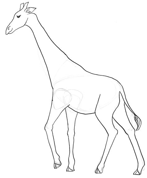 Giraffe Without Spots Page Coloring Pages