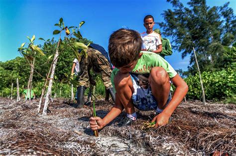 Lograr Restaurar Habitats Naturales Para Ralentizar Cambio Climatico