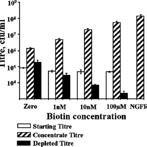 The Relationship Between Biotin Concentration And Cell Surface Biotin