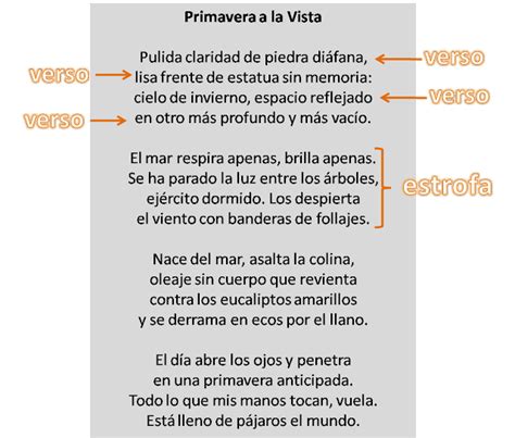 La Clase De Flor 5º De Primaria Lengua Ud 11 Recitar Romances