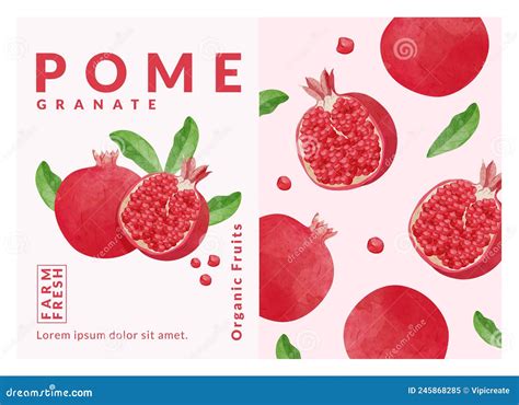 Pomegranate Packaging Design Templates Watercolour Style Vector Illustration Stock Vector