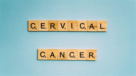 World Cancer Day 2024 What Is Cervical Cancer Expert Explains Early Signs Symptoms And