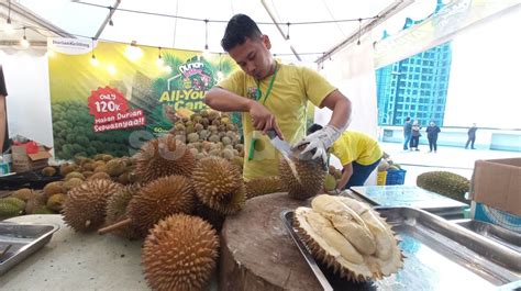 Ada Lomba Makan Durian Spesial Agustus Di Mana Tempatnya Dan