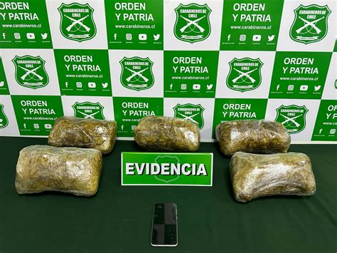 Antofagasta Carabineros Incauta Millones En Drogas Tras