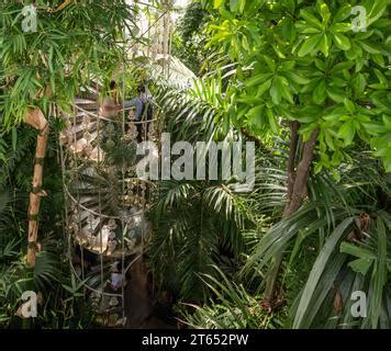 Interior Of The Palm House A Cast Iron Glasshouse Designed In The Th