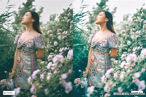 10种电影胶片人像后期调色lightroom预设 10 Spring Premium Lightroom Presets Lightroom