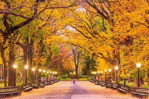 New York En Automne Conditions M T O V Nements Et Activit S