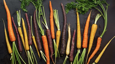 What Are Rainbow Carrots Mississippi State University Extension Service