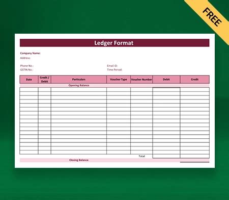 ledger account format  tally optimize  financial records