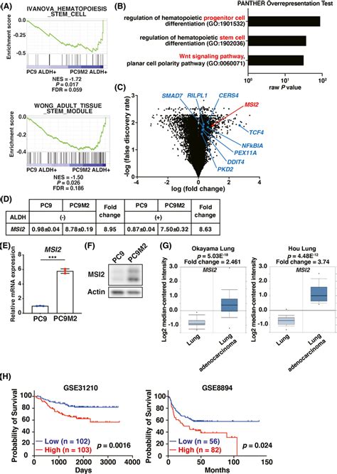 Msi Expression Is Increased In Pc M Cells Compared With Pc Cells And