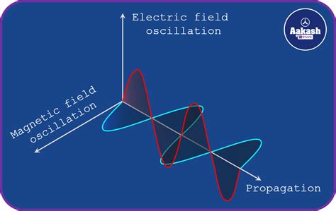 Transverse Wave Definition Terminology And Speed Of Wave On String Physics Aakash Aesl