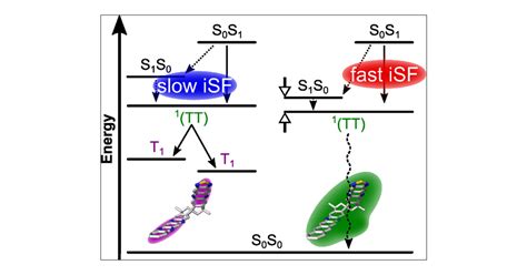 Efficient Intramolecular Singlet Fission In Spiro Linked Heterodimers