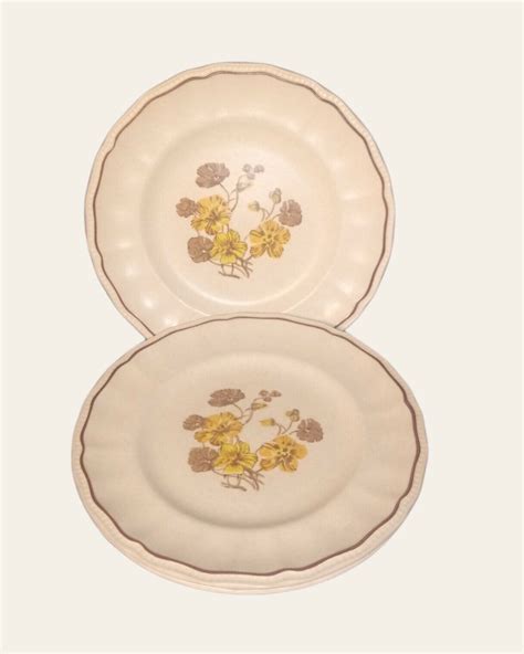 Kensington Staffordshire Ironstone Dinner Plates Yellow Flowers Brown