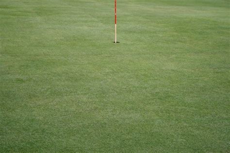 Premium Photo Green Grass Field Golf