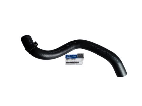 Original 254121c100254121c200 Radiator Hose Lower Hyundai Getz 2002