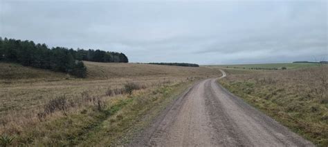 Berril Down Wiltshire Rebecca A Wills Geograph Britain And Ireland