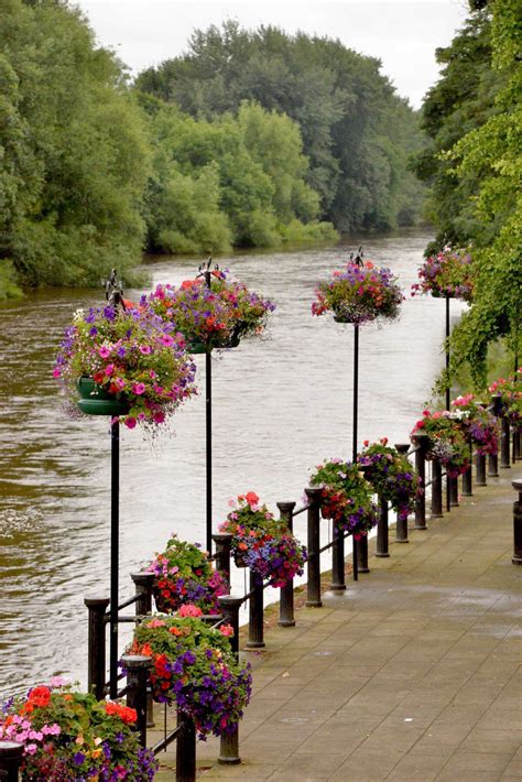 Bridgnorths Blooming Good Baskets Renewed For Another Year