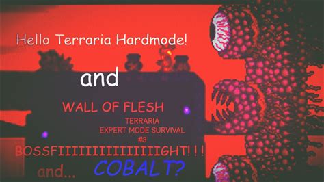 Wall Of Flesh Bossfight Hello Terraria Hardmode And Terraria