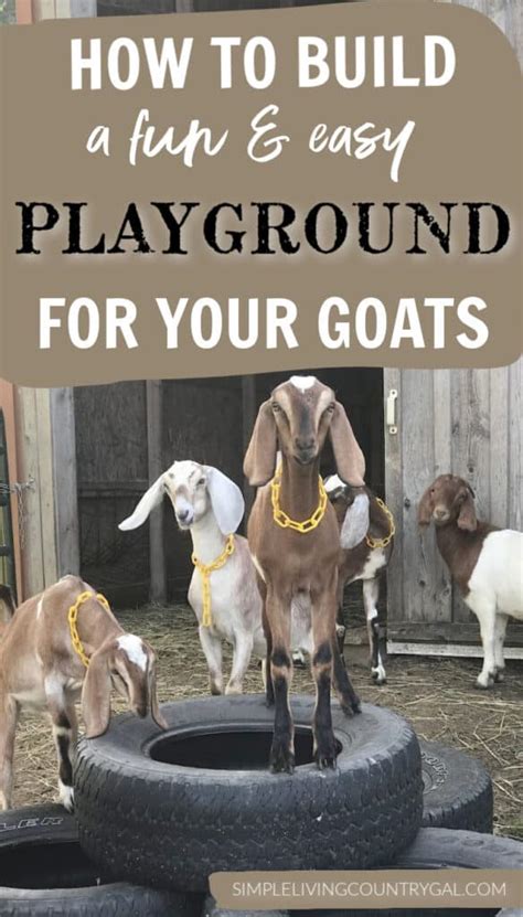 Goat Playground Ideas Simple Living Country Gal