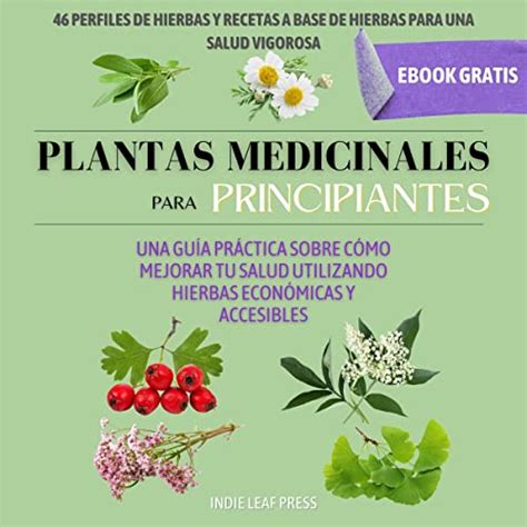 Introducir Imagen Recetas De Hierbas Medicinales Abzlocal Mx